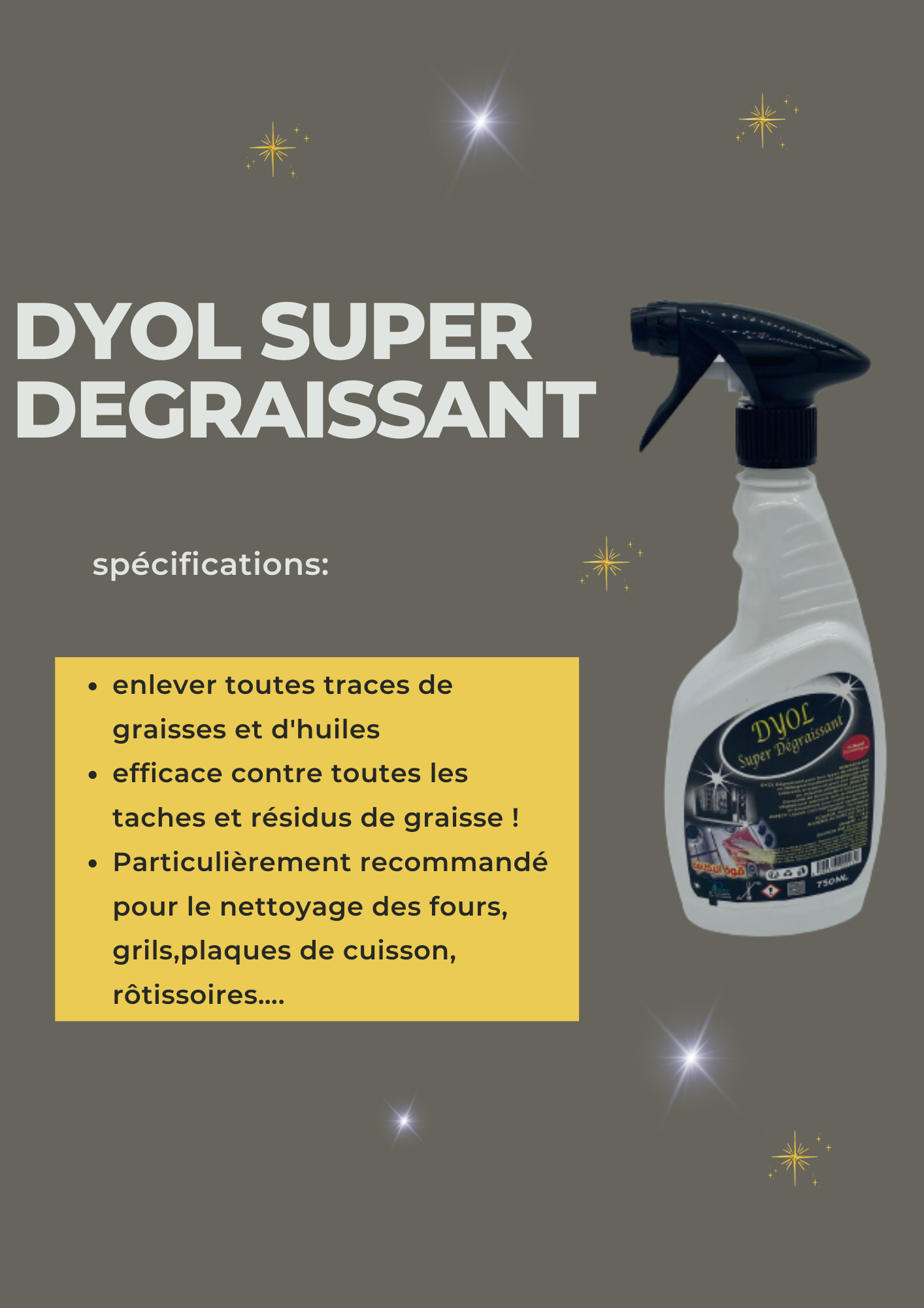 DYOL SUPER DEGRAISSANT