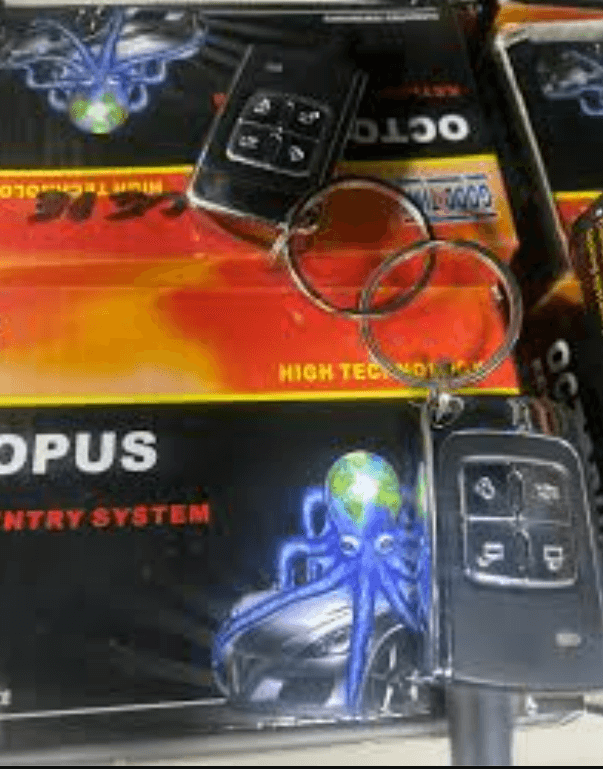 Kit de Fermeture Central A Distance avec 2 télécommandes – OCTOPUS