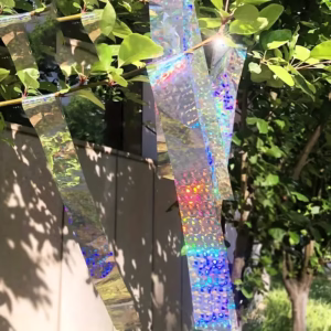 Répulsifs anti oiseaux à rayures holographiques (45mmx50mt)