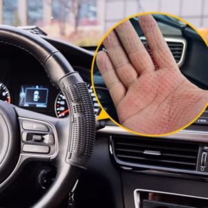Monster Steer Grip