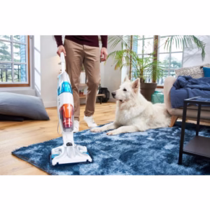 Clean – Steam Multi